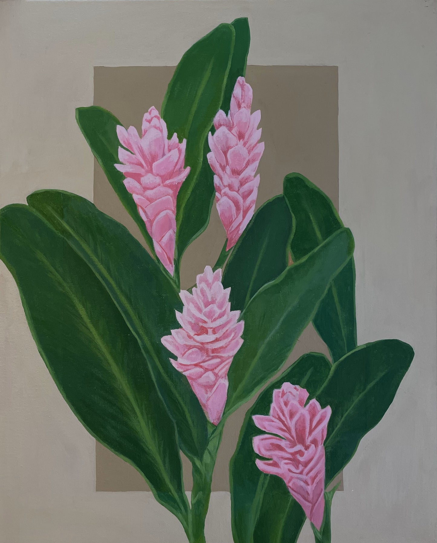ʻPink Awapuhiʻ