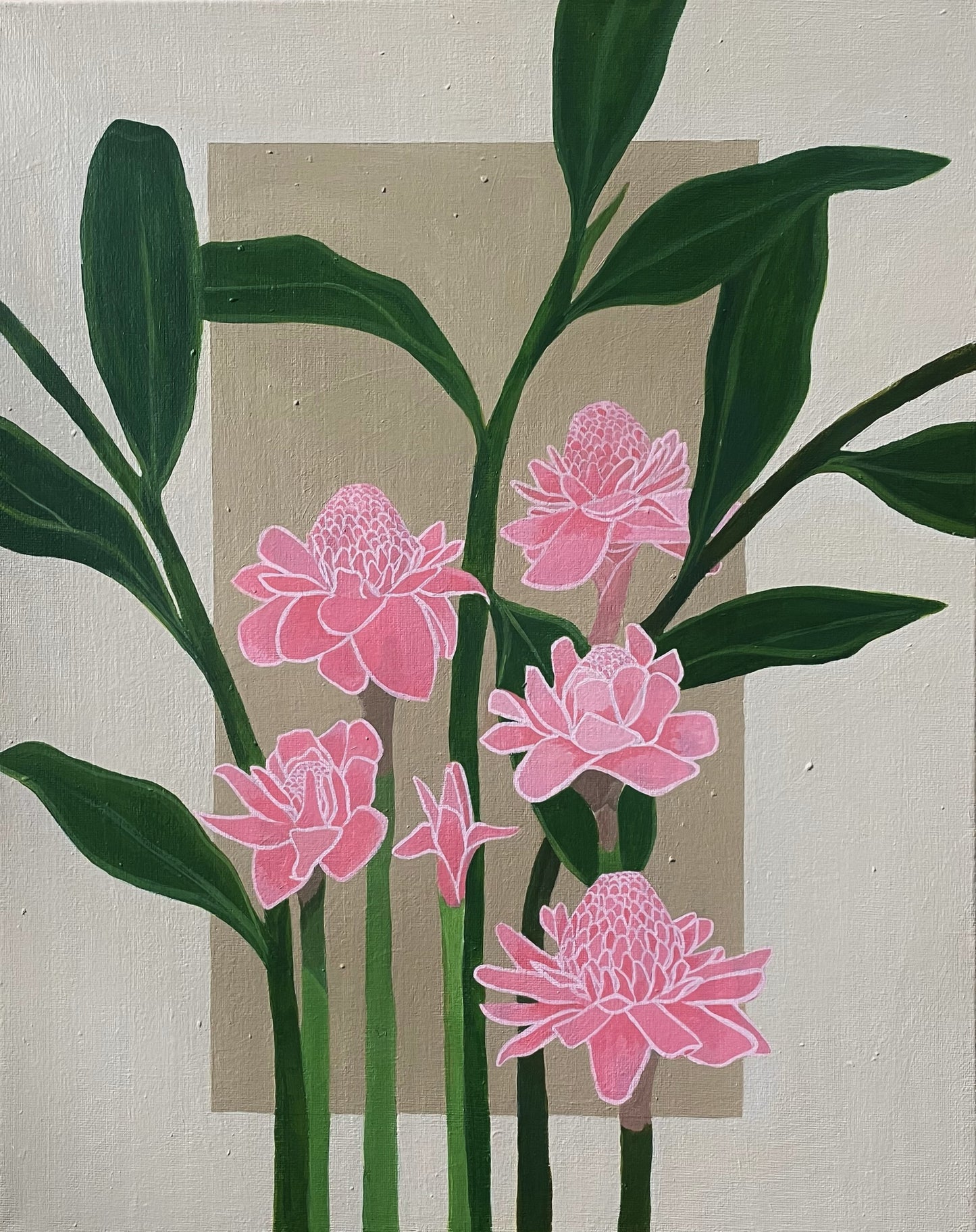 Pink Ginger